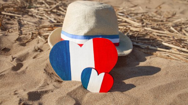 dev wordpress francais